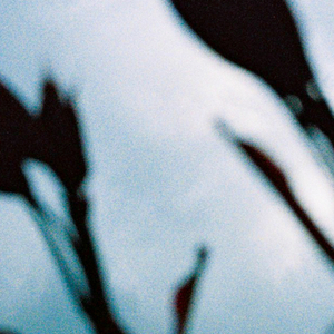 欧美人妻一区黄A片
