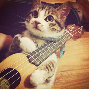 欧美人妻一区黄A片
